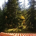 студио 