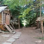 студио 