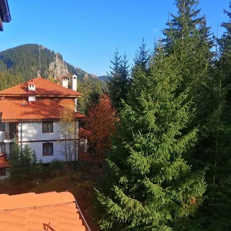 Apartment студио 