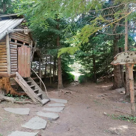 студио 