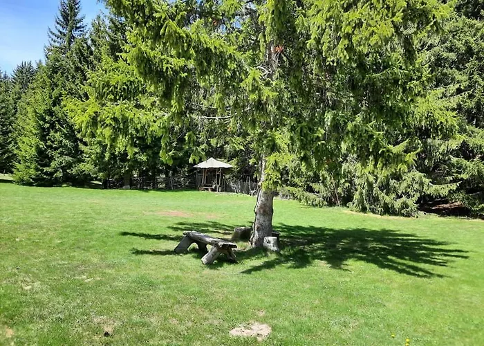 Apartment студио 